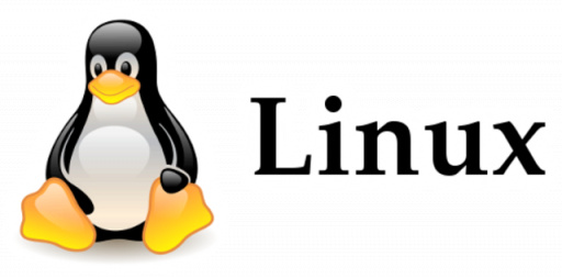Linux op Computer