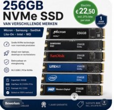 115010 115010 256GB NVMe SSD van verschillende merken – Micron, Samsung, SanDisk, Lite-On, Intel, WD