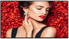 119036 119036 Philips D-Line 43BDL4031D Digital Signage Display NEW