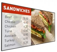 119040 119040 Philips 42BDL5055P/00