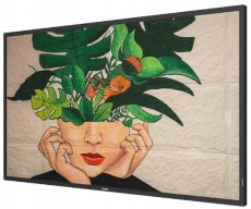 119054 119054 Philips 43BDL4510D/00 Signage Display Nieuw in doos