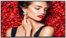 119066 Philips 49BDL4031D/00 – 49 inch Full HD Signage Display Nieuw in doos