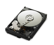 121394 121394 Western Digital WD3200AAJS – 320GB HDD – 3,5 inch SATA – 7200 RPM