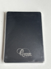 107068 107068 QueenSystems 256GB SSD – M.2 SATA in 2,5" SATA Module
